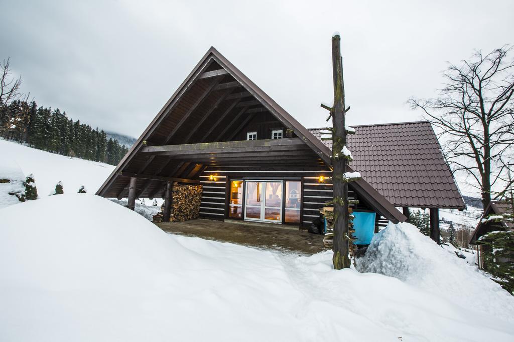 Chata Pod Lipami Rokytnice nad Jizerou Exterior foto