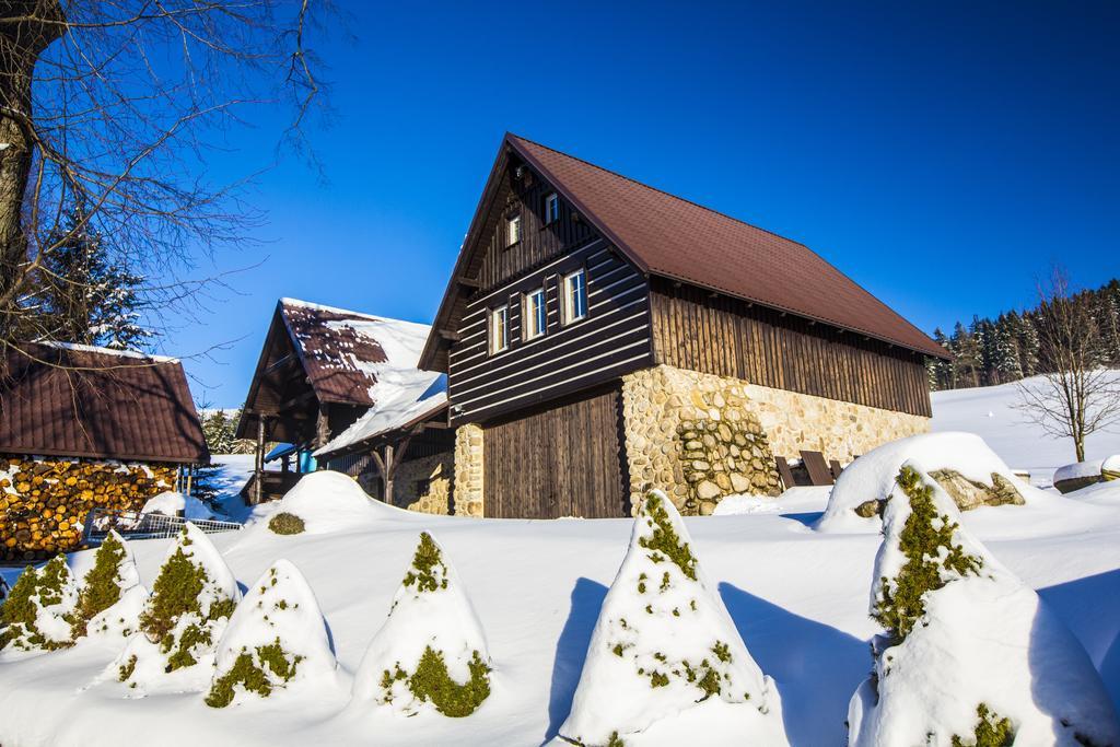 Chata Pod Lipami Rokytnice nad Jizerou Exterior foto